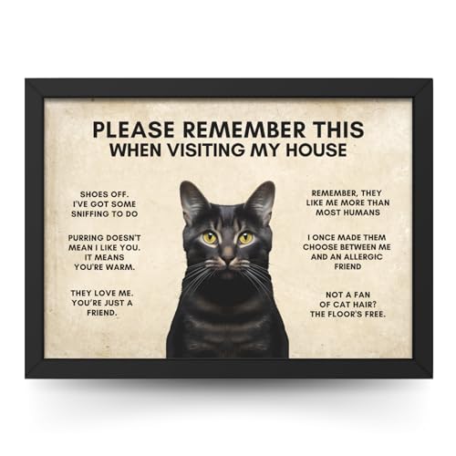 State Media Vision Funny Cat House Rules Wall Print - Recordatorio hilarante para los amantes de los gatos para invitados, póster de gato negro, variedad de tamaños