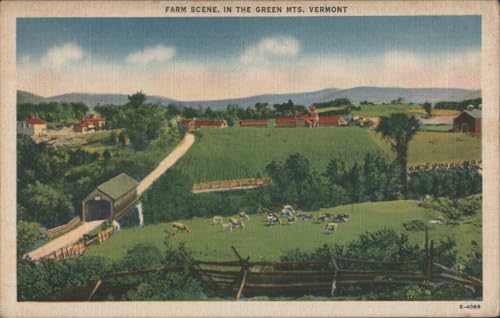 Farm Scene in the Green Mountains, Vermont Original Postcard