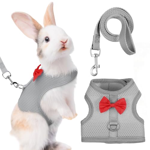 Harnais Lapin avec Laisse Réglable et Respirant -...