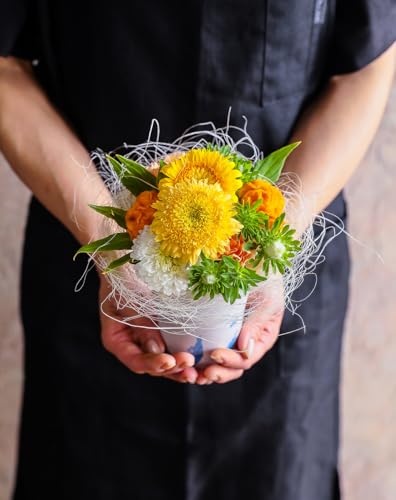 t[Xg t[AWg XSTCY CG[&IW b܎܃fUCi[ďC ԑ   t[ Mtg v[g 蕨 a j LO ސEj F