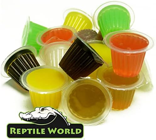 Reptile World, Fruit Jelly Pots 50pk, Fruit Jelly for Lizards, Geckos, Ants, Birds, Parrots & Feeder Insects