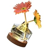 Lampe de nuit de : la petite lampe est livrée avec une taille compacte, qui ne prendra pas trop de place sur le bureau, lampe de nuit