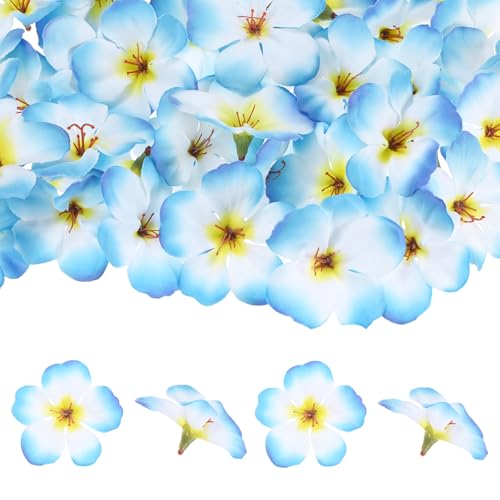M METERXITY 50-Pack Orchid Flower Heads 2.2in/5.5cm, Sky Blue