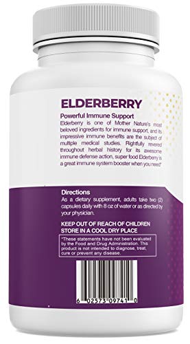 Logic Nutra Black Elderberry Capsules 1000Mg Immune Support - 120 Count High Concentrated Sambucus Extract - Non-Gmo, Gluten Free, Veggie Capsules #TOP2