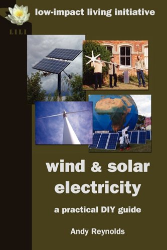 Wind & Solar Electricity: A Practical DIY Guide