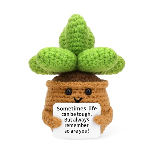 Megele Crochet Positive Succulent Plant Thank You...