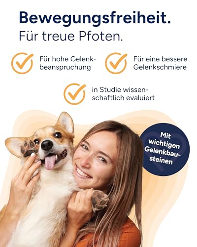 NutriLabs Canicox-HD Gelenktabletten für Hunde 140 Stk. - mit MSM, Chondroitin, Hyaluronsäure, Glucosamin & Teufelskralle - Gesundheitsprodukte für Hunde - Nahrungsergänzungsmittel Hund