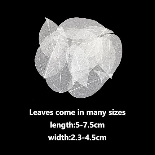 HAOBIN Pack of 50 Artificial Leaves Decorative Leaves Garland Craft Dry Leaves Dried Leaves Used for DIY Crafts Scrapbook Craft Card Making (White) - Image 2