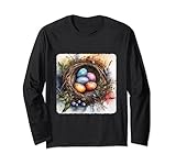Ornithology Study Of Bird Nests With Colorful Eggs