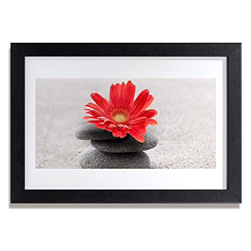 Affiche encadrée Tulup 30x20 cm salon déco photo gerbera cadre MDF