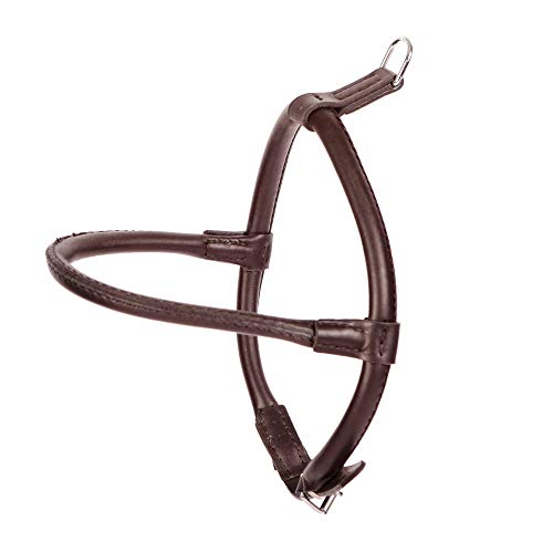 Dingo Brown Leather Harness for Chow Chow and Furry Dog Breed 10573, 90 x diameter 1.2
