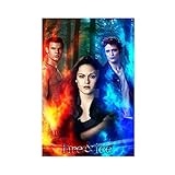 Leinwandposter unterscheiden sich von Papierpostern, da sie aufgrund von Umweltfaktoren wie Luftfeuchtigkeit nicht verschlechtern.