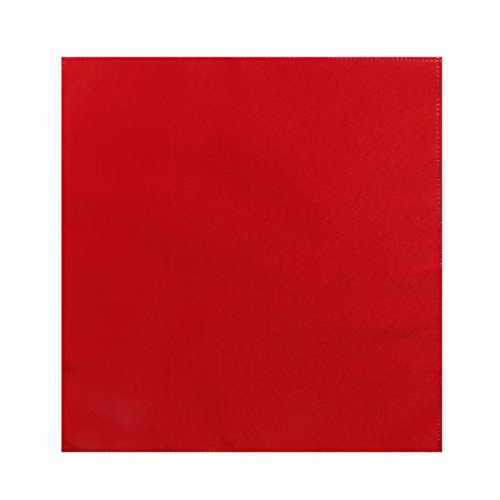 Manteles individuales de tela 50 x 50 cm 5 unidades rojo miniatura 3