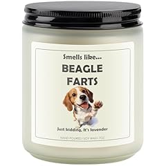 BEAGLE FARTS