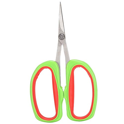 KUIDAMOS Branche D'arbres Fruitiers Coupe Ciseaux Outils De Jardin Raisin Élagage Cisailles sécateur de Raisin d'acier Inoxydable Ciseaux Bonsai Japonais Coupe Sécateurs et Ciseaux