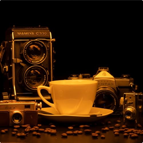 Lights, Camera....Action?