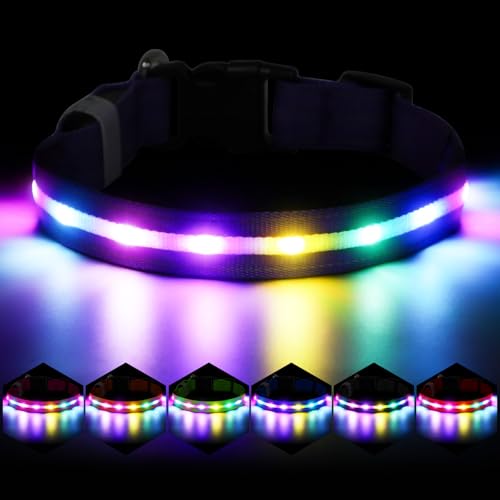 Fiveda Light Up Dog Collar, USB Rechargeable 6 Modes, Waterproof Charging Port, Long Lasting LED Collar - Adjustable Nylon Reflective for Dogs, Sizes S/M/L (7/9/11 Lights) - 5 Colors (Purple, M) by Fiveda - Used condition - US$8.50