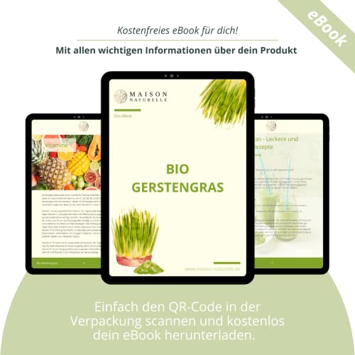 Bio Gerstengras Tabletten Maison Naturelle 240 Stück