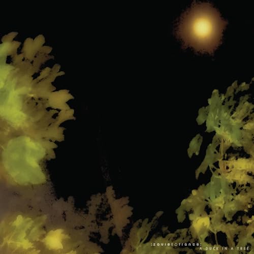 A Duck in a Tree 2026-04-04 | The Impact Awaits