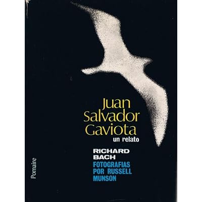 Juan Salvador Gaviota