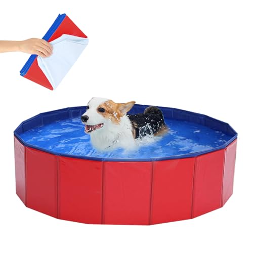 LUFEIS Piscina per Cani, Piscina Pieghevole per Cani, PVC...