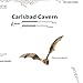 Carlsbad Caverns National Park Map (National Geographic Trails Illustrated Map, 247)