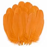Ces plumes légères conviennent parfaitement à diverses décorations et constituent également un bon choix comme cadeau pour les autres.