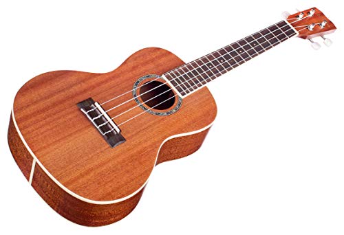 Image of Cordoba 15CM Concert Ukulele - Hand Crafted With Mahogany Top, Back & Sides, Authentic Abalone Rosette & Satin Finish & Premium Italian Aquila Strings - For Beginners & Professionals