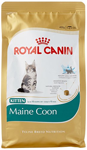 Maine Coon Royal Canin Cibo Secco per Gatti Maine Coon Kit - 400 gr