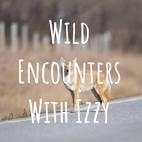 Wild Encounters With Izzy cover art