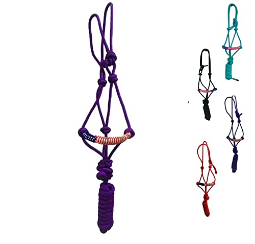 Licou en corde tressée violet pour les balades et le travail à pied au quotidien