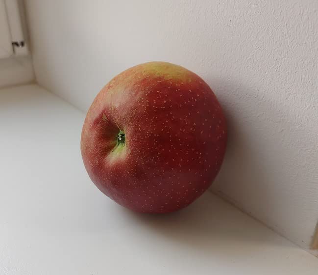 Apfelbaum `Wellant´, Buschbaum (kleinbleibend), 120-140cm im 10Liter-Topf