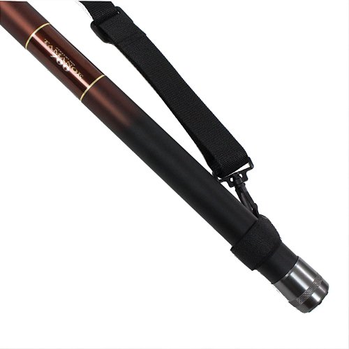 Amazon | ステルヴィオ磯玉の柄 700(solf-027084) | シェアーズ | 玉網