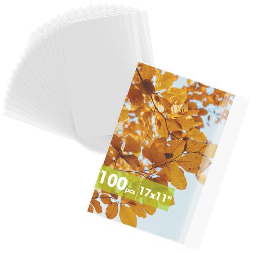 Mat Board Center Clear Resealable Plastic Sleeves, 17 1/2"" x 11 3/7""