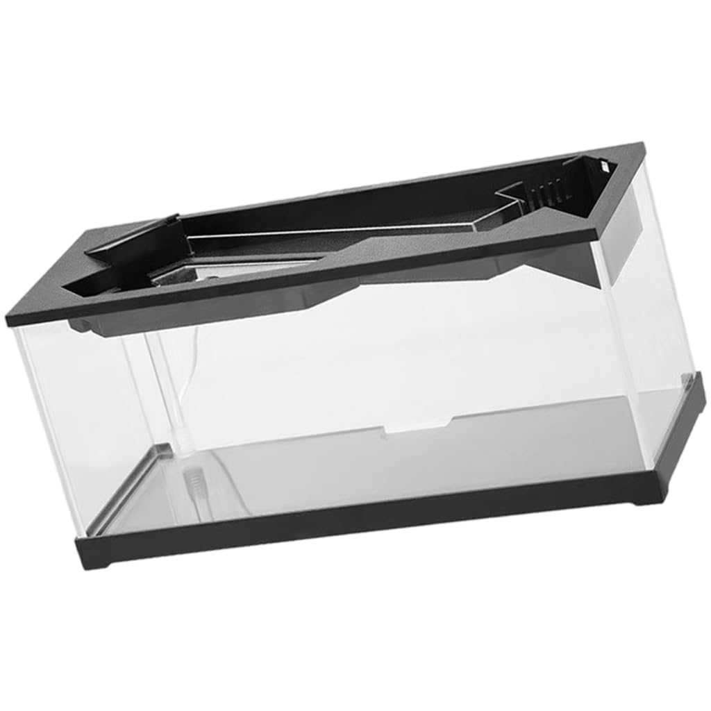 Mini aquarium moderne en acrylique transparent petit poisson Betta