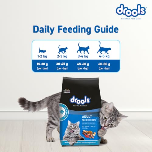 Image of Drools Adult Dry Cat Food 3kg | Ocean Fish | Supports Skin & Fur | Enhances Vision | No Artificial Flavours | Promotes Glossy Coat