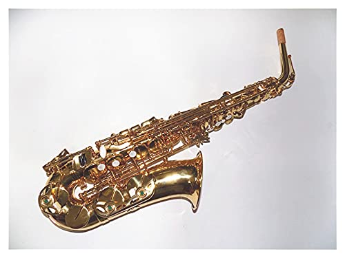 TbNX Xg[g EB AgTbNX ABSP[Xt ^J{fB S[hbJ[ vpy