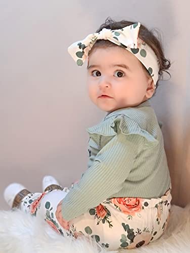 Image of DISAUR Baby Girls Clothes Newborn Infant Baby Girls Outfit Long Sleeve Ruffle Romper Floral Pants Headband Sets 0-18 Months