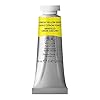 Winsor & Newton 0105348 professionele watercolours (fijnste kunstenaars aquarelverf – 14 ml tube hoogst mogelijke…