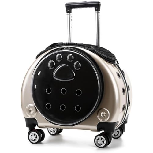 Ftyuiul LE^@\ybgg[P[X 4 փLX^[ƐLknhŎ^ђ֗ ʋCǍDȃybgobO L[bNdl UEsEdԁEAEghAoɍœK ו[\ (S[f)