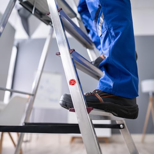 LabelTec Prüfplakette geprüft gem. BetrSichV §3 (3) DGUV Information 208-016 Prüfaufkleber Ø30mm 2025-2030 Aufkleber für Leitern und Tritte Prüfetiketten Leiterprüfung LTF001 (50, Rot)