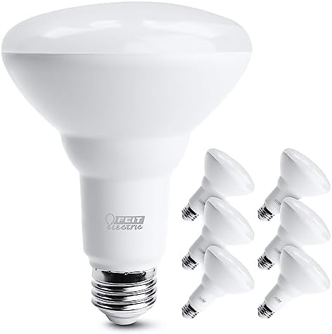 Feit Electric LED BR30 Light Bulbs, 65W Equivalent, Dimmable, 10 Year Life, 650 Lumens, 5000k Daylight, E26 Base Recessed Can Light Bulbs, Flood Light Bulbs, Damp Rated, 6 Pack, BR30DM/850/10KLED/6