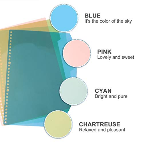 Toyandona Divisores de arquivos Divisores de pasta A4 Anel de pasta separadores de abas Etiquetas Pa