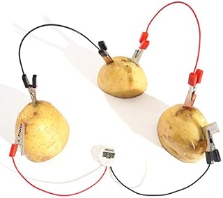 Skelang Fruit Battery Science Experiment Kit with Electronic Clock for DIY Home Teaching