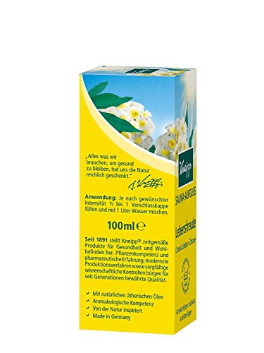 Saunaaufguss Kneipp Lebensfreude 2er Pack (2 x 100 ml)