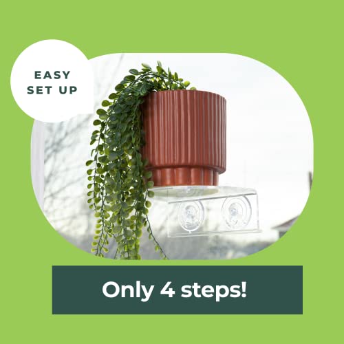 Image of Window Garden Veg Ledge Suction Cup Window Shelf - Create an Indoor Garden, Hold Your Planter Pots, Seed Starter, Figurines on Your Window. Grow Herbs, Microgreens, Succulents, Sleek (2 Pack)