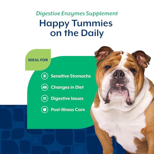 Image of NaturVet - Digestive Enzymes - Plus Probiotics & Prebiotics - Helps Support Diet Change & A Healthy Digestive Tract - for Dogs & Cats (Soft Chews, 120 Count) (Pack of 2)