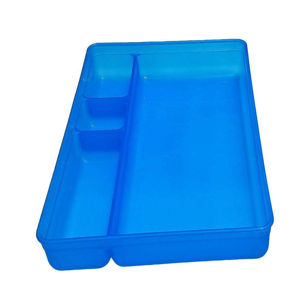 Medical Tray 4 Section Compartment for Hospital Use (Autoclavable) Pack of 1.-picture-23