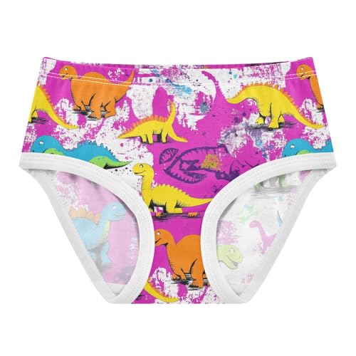 Wusikd Colorful Dinos Girls' Underwear Cotton Cute Girls Briefs Soft Toddler Underwear 2T