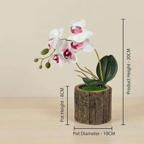 Image of Dekorly Artificial Orchid Flower Plant with Decorative Pot | 1 Stick Faux Orchid Plant | 20 cm Tall Indoor Tabletop Decor for Home, Living Room, Office Desk, Shelf, Hotel & Gift Decoration (White)
